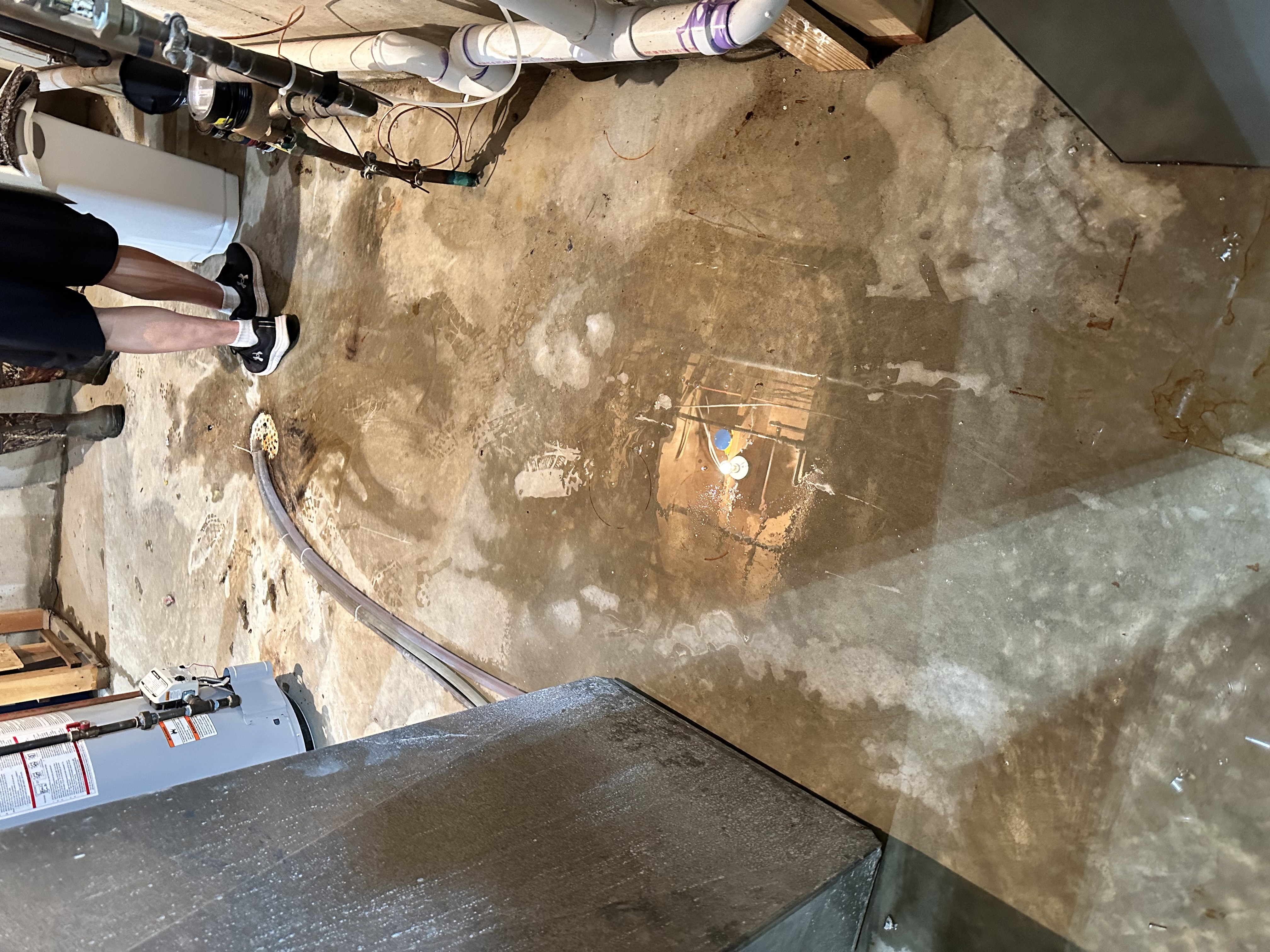 Professional water damage restoration in progress